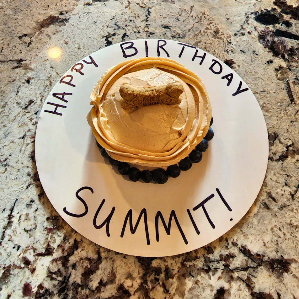 summit's birthday cake for his pawty