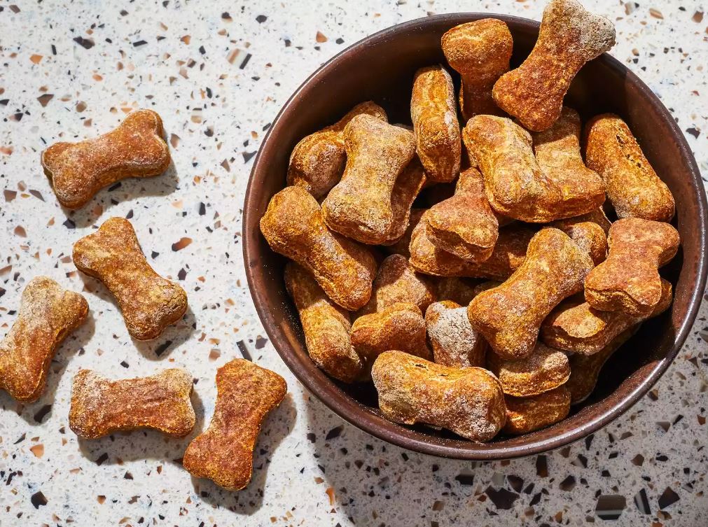 homemade dog treats for pawty take-home treats